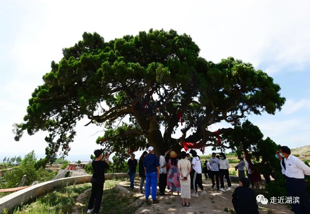 三门峡湖滨区：打造“四个样板”筑起文旅发展新高地